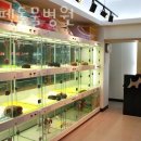 드림펫동물병원