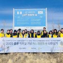 희망나무심기1 이미지