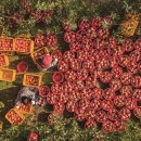 황금약수탕 이미지