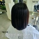 더에이치존 | 공릉미용실 에이치오브존에서 율아실장님께 클리닉 후기