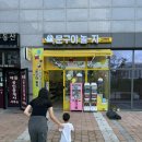 문구야놀자다산