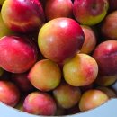 마동목장 이미지