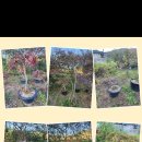 석암농장 이미지