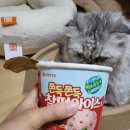 별아이스크림할인점 이미지