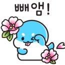 브이아이피오토캠핑장 이미지