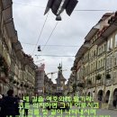 노아앵무새