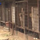 정당농장 이미지