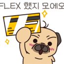 하나애견 이미지