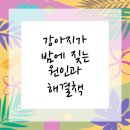 송파바로동물병원 이미지