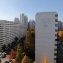 은마부동산중개 이미지