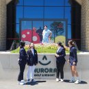 월드 C.C 이미지