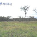 법무법인해오름 이미지