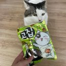 오리고집 | 고양이 영양간식 추천 다이소 고양이간식 고집 오리맛 오션피쉬맛 급여 후기