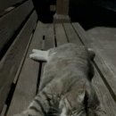 서진당구장 이미지