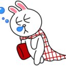 정품카써비스 이미지