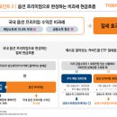 월배당 받으며 반도체 투자하기..오늘 상장한 TIGER 반도체TOP10커버드콜액티브 매수후기