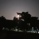 풍송재