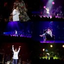 안예은 카카오 검색결과