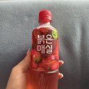 웅진음료 | 웅진 붉은매실 음료 구매 후기❤️🍑