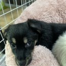 옹기종기 이미지