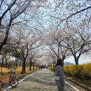 동락공원 자전거대여소(평일_하절기) | 경북 구미 동락공원