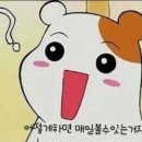 명사십리 이미지