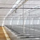 (주)비에스팜 이미지