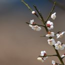 작전 풍림아이원아파트 이미지