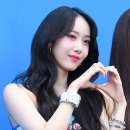 신비체육관 이미지