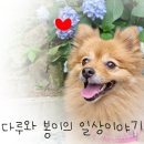 카페힐담 이미지