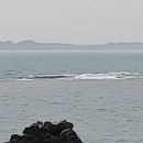 보금자리민박 이미지