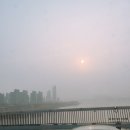 미세먼지 마스크 4종 직접 써보고 쓰는 리얼 후기
