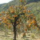 지리산에서의 하루 이미지