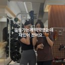 바른자세 Pt짐 네이버블로그
