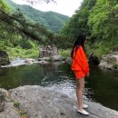 테마파크 펜션 이미지