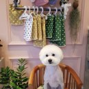 그루밍 105 이미지