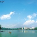 리슈