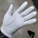 청산골프연습장 | 풋조이 카브레타소프 양피 골프장갑 사이즈 팁 및 필드 착용 후기(그립감 최고)