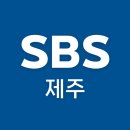 제주 JIBS 그대는새나는나무 이미지