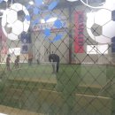 파주프렌즈축구클럽