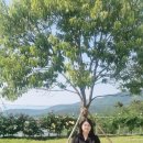 그랜드하브(GRAND HAV)