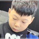 아르테바버샵에서 만난 댄디컷, 내 스타일에 딱 맞는 선택이었어요!