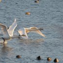 금호강7 이미지