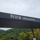 초의숲 이미지