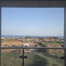 피노앤키오리조트 | [제주] 김녕 가성비 오션뷰 숙소 추천 '피노앤키오' 내돈내산 후기