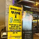 사이다퓨전노래광장