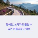 휠체어·유모차 OK! 거창 감악산 무장애나눔길: 감악고도 완벽 가이드