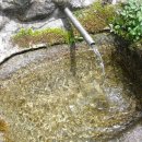 섬진아트홀 앞 이미지