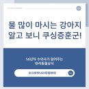 광진동물병원 이미지