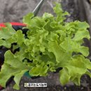 경재 농장 이미지